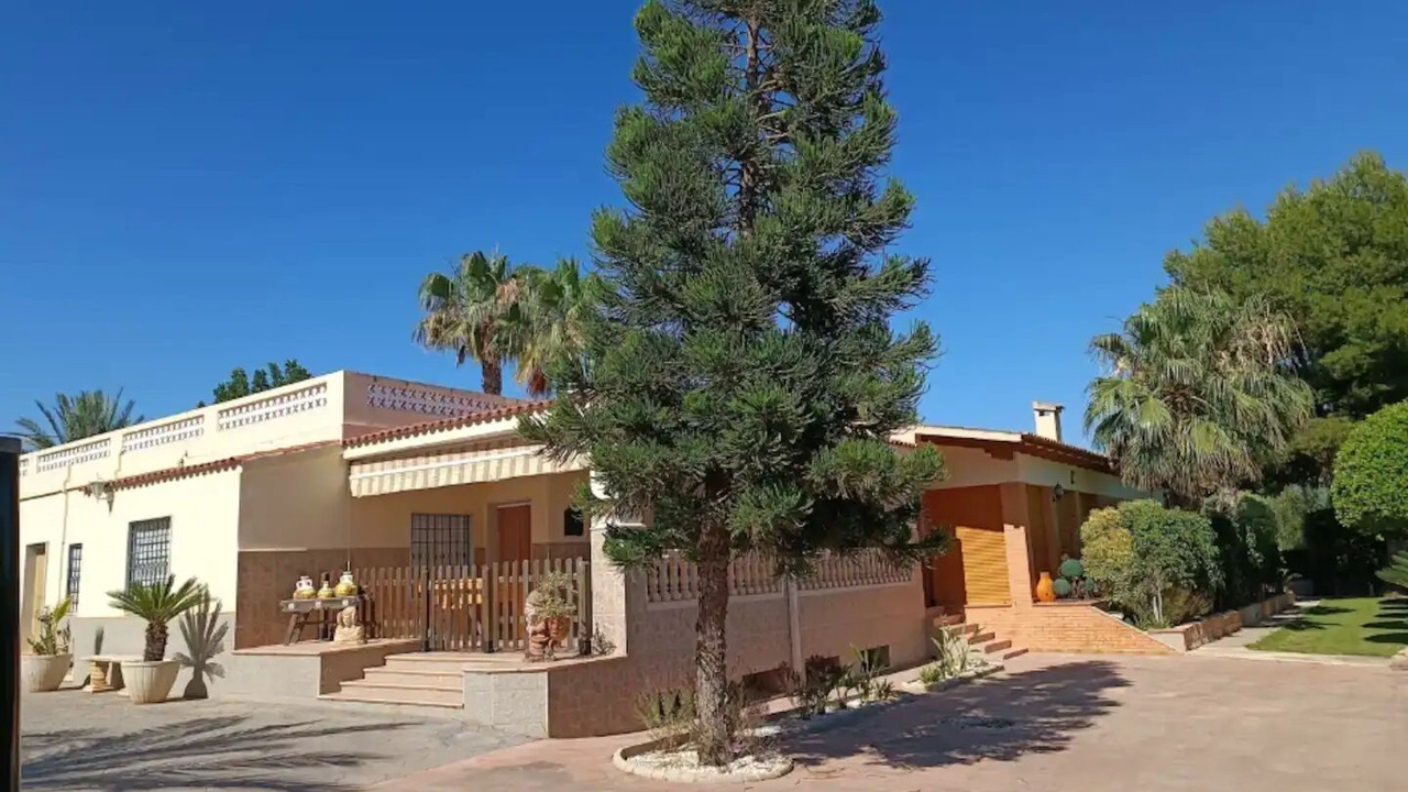 Photo of Outdoor in Elche