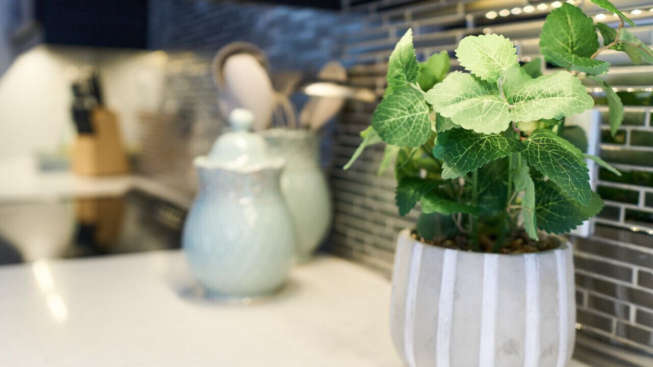 Photo of Others in Cormierville