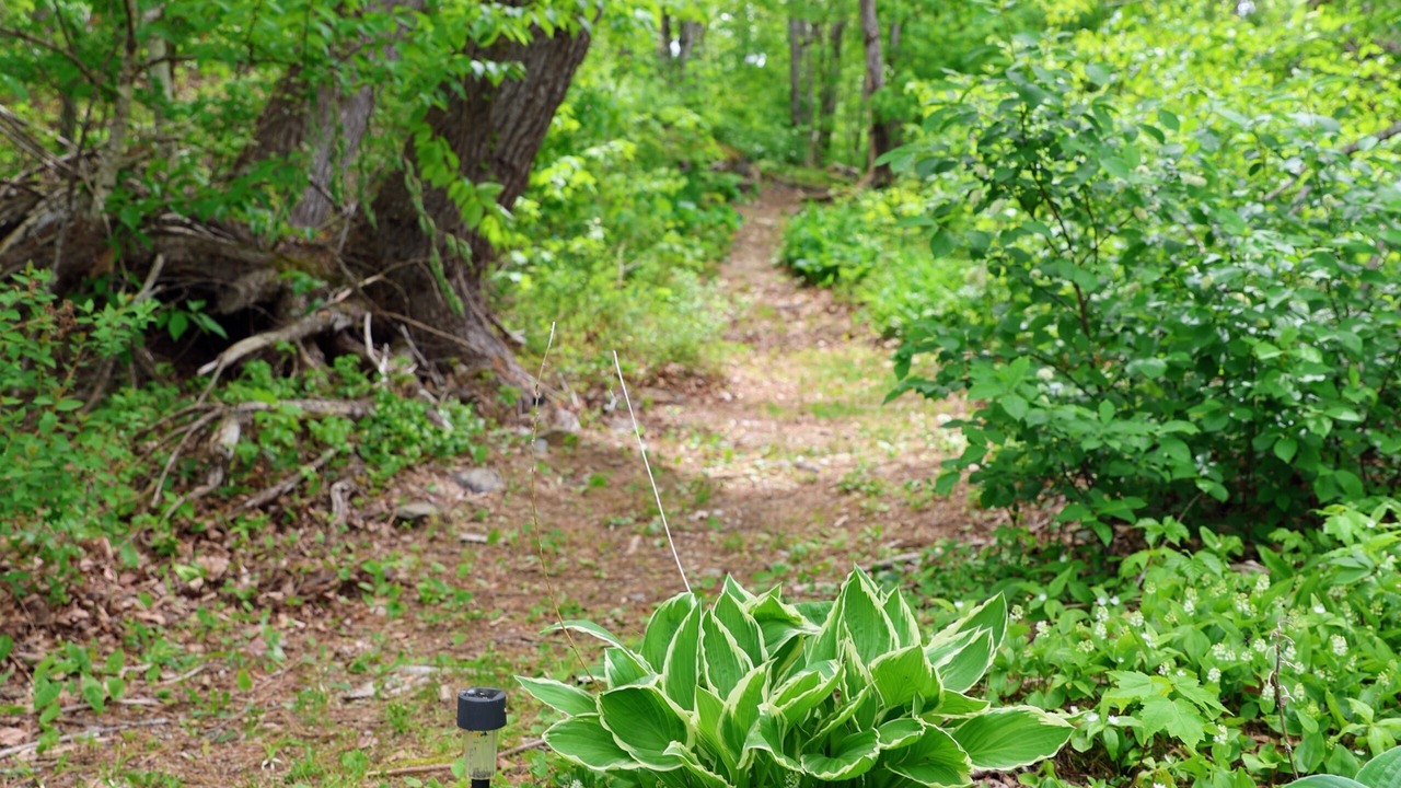 Photo of Outdoor in Baileyville