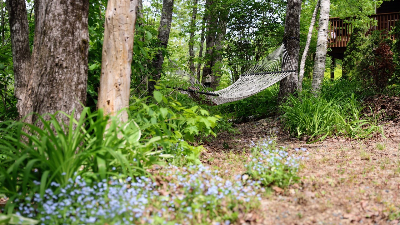 Photo of Outdoor in Baileyville