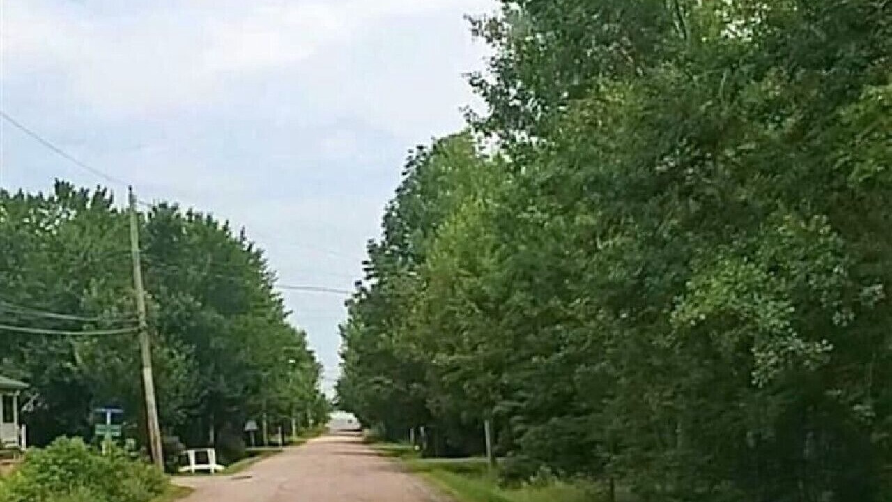 Photo of Others in Grand Barachois
