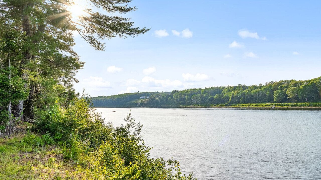 Photo of Others in Chelmsford