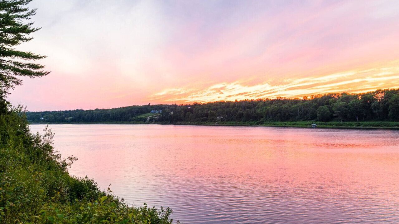 Photo of Others in Chelmsford