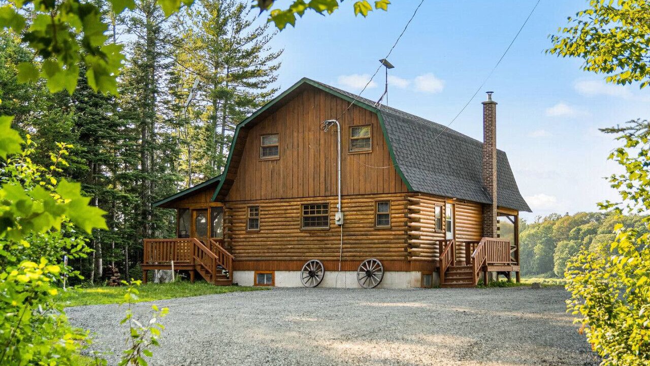 Photo of Outdoor in Chelmsford