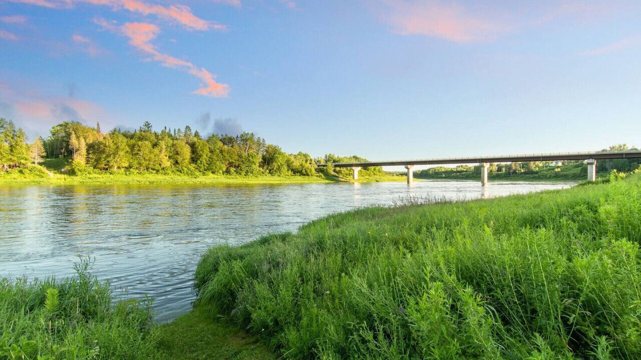 Photo of Others in Red Bank