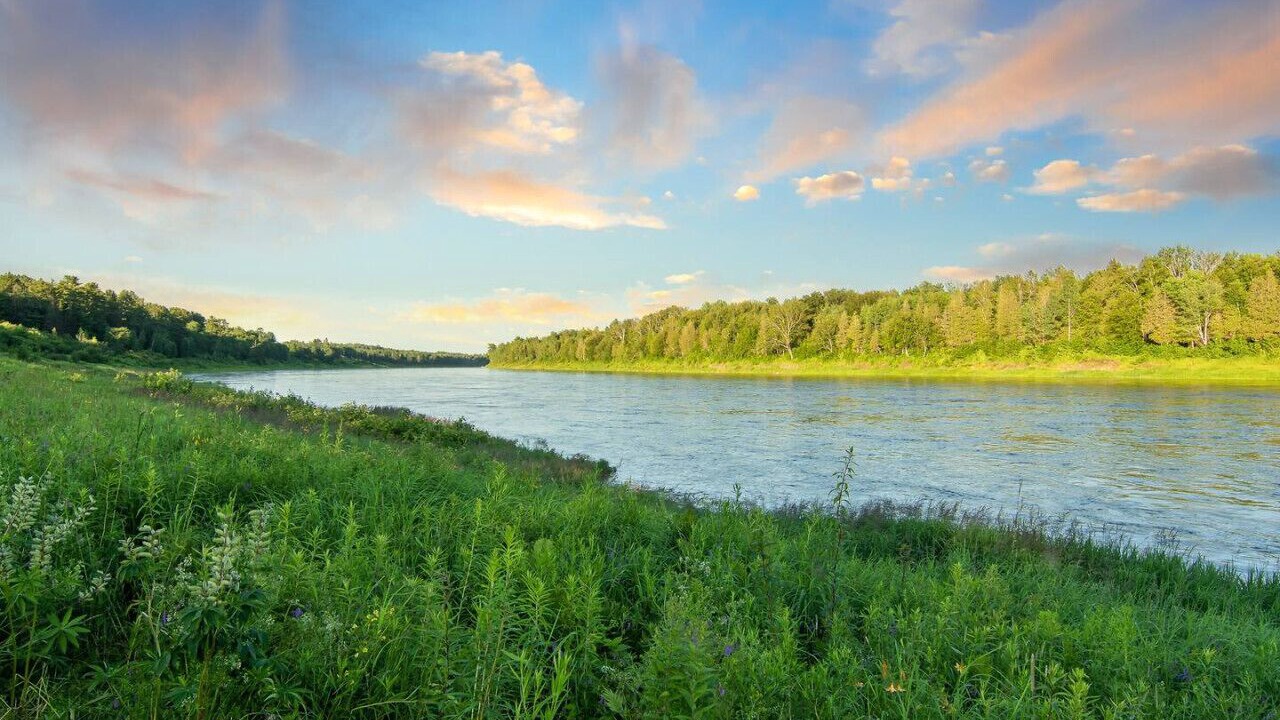 Photo of Others in Red Bank