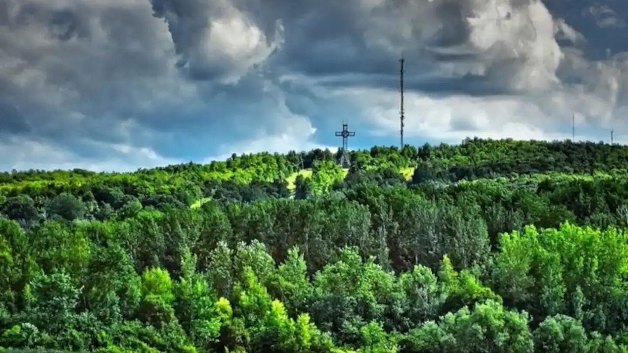 Photo of Others in Sherbrooke