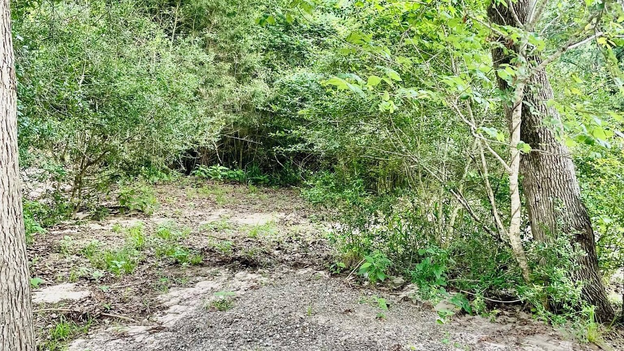 Photo of Outdoor in College Station