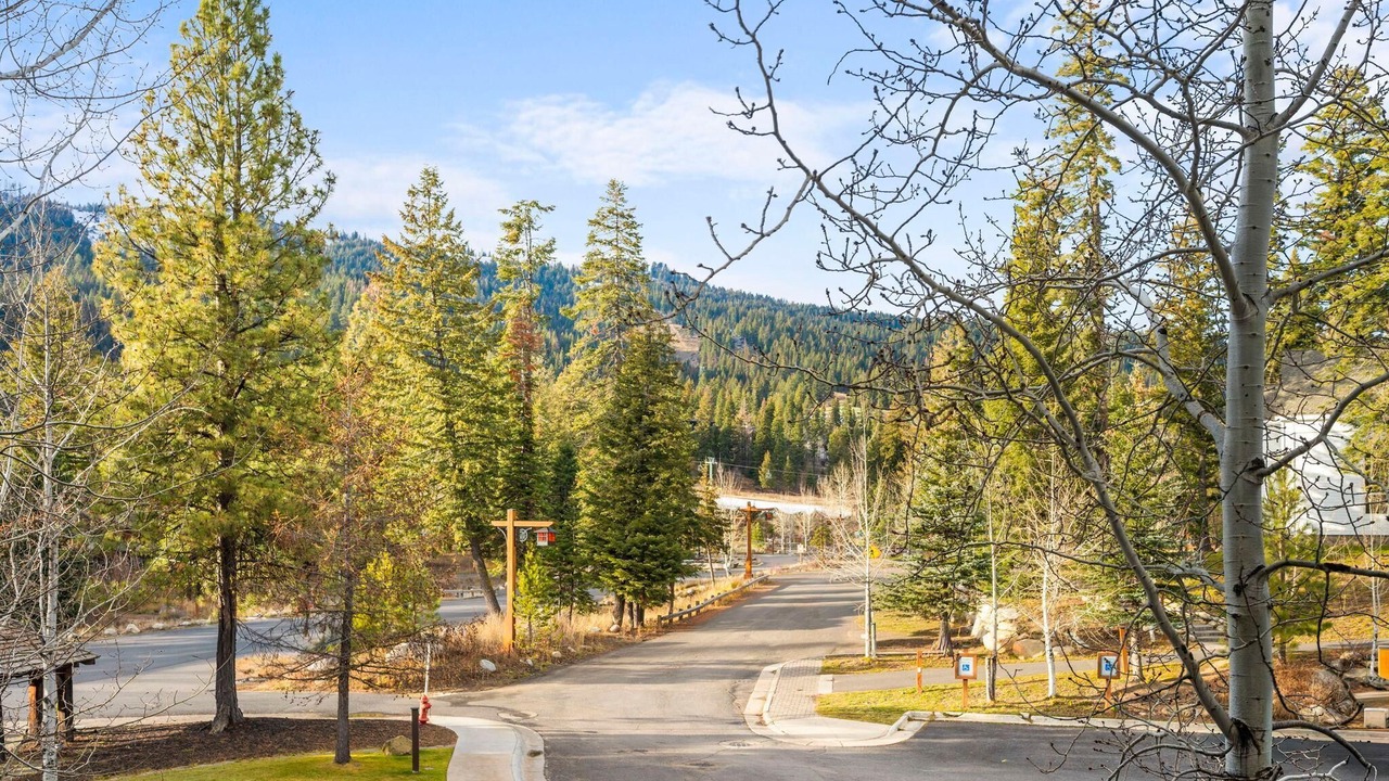 Photo of Others in Tamarack