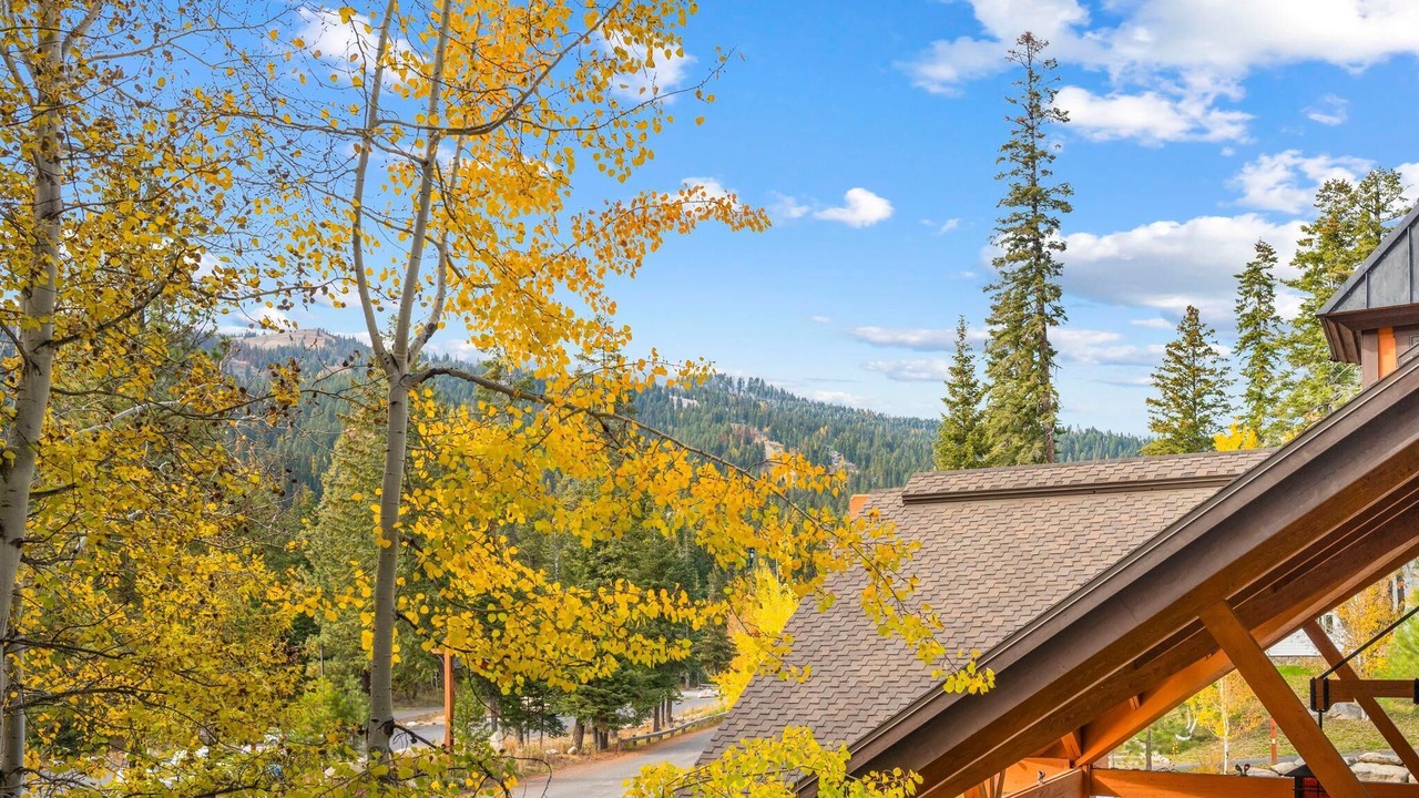 Photo of Others in Tamarack