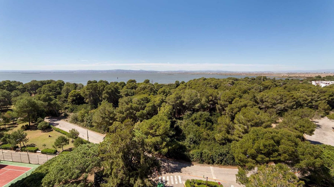 Photo of Outdoor in El Saler