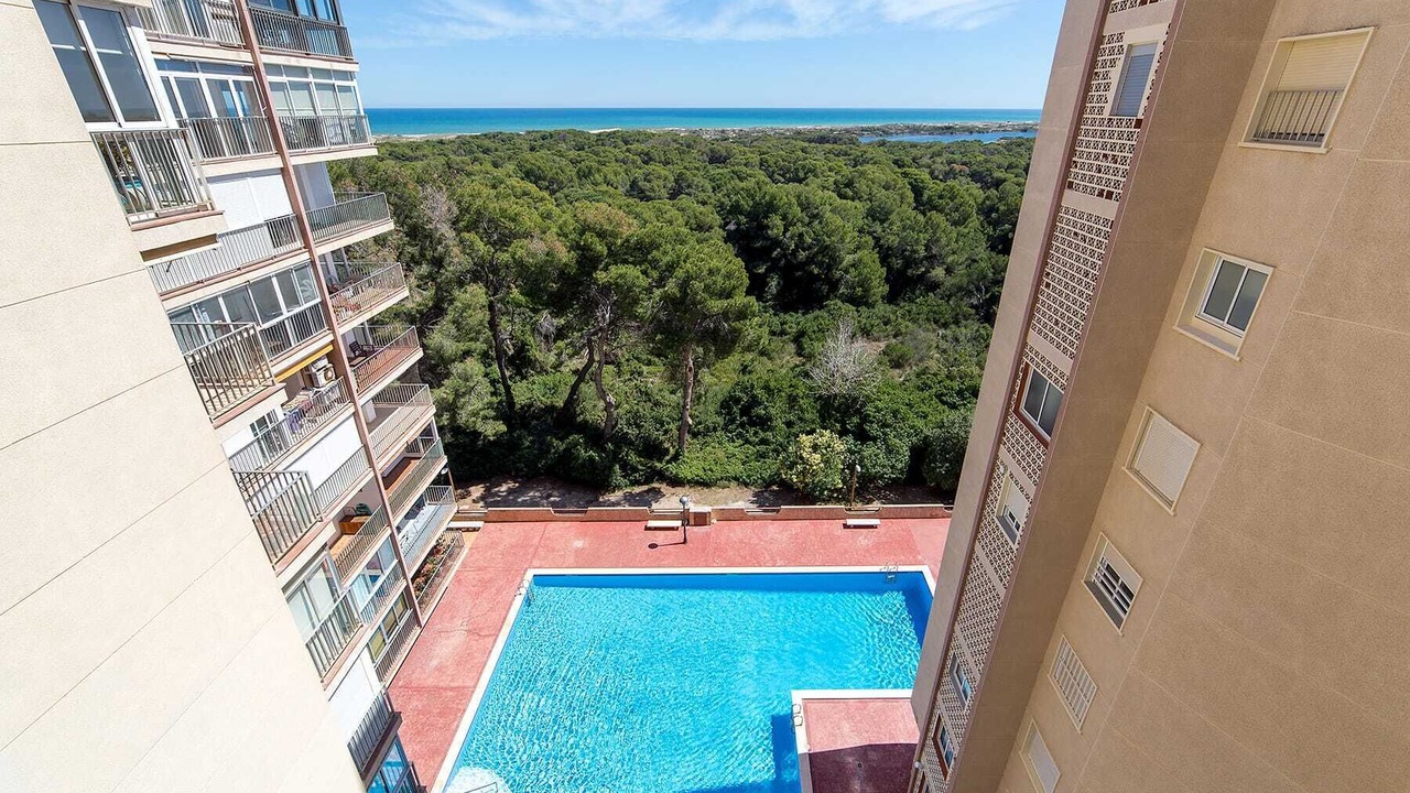 Photo of Outdoor in El Saler