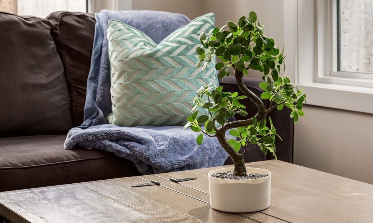 Photo of Others in Shaganappi