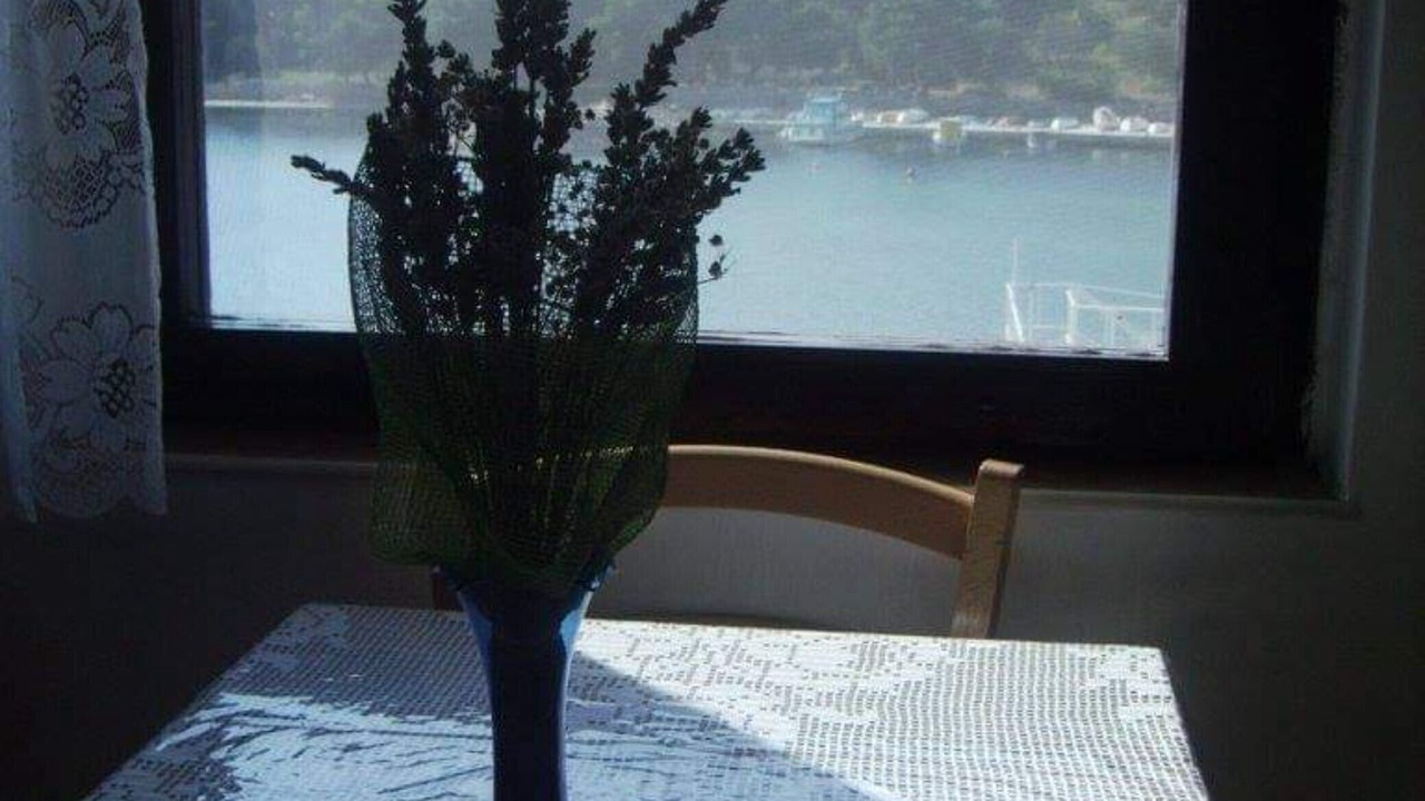 Photo of Others in Prvic Luka