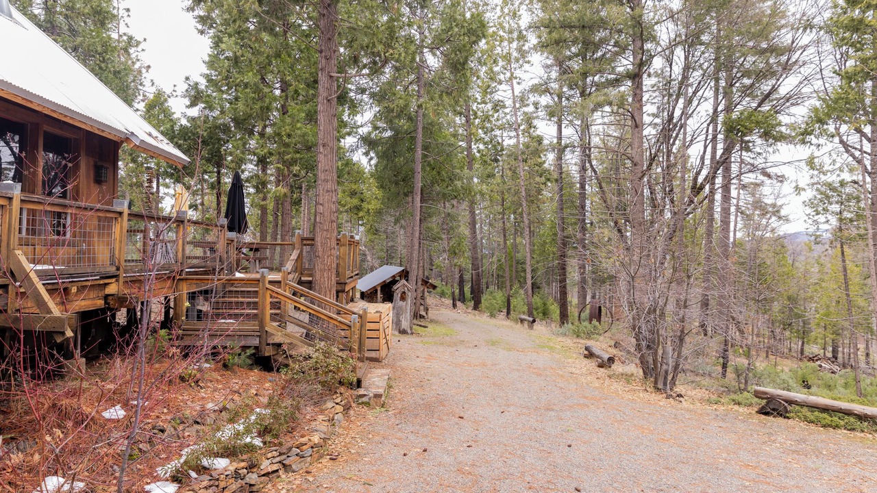 Photo of Outdoor in Groveland