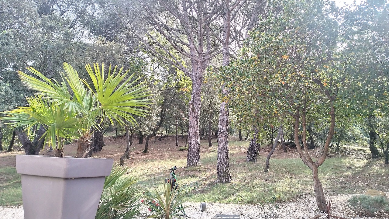 Photo of Outdoor in Rochegude
