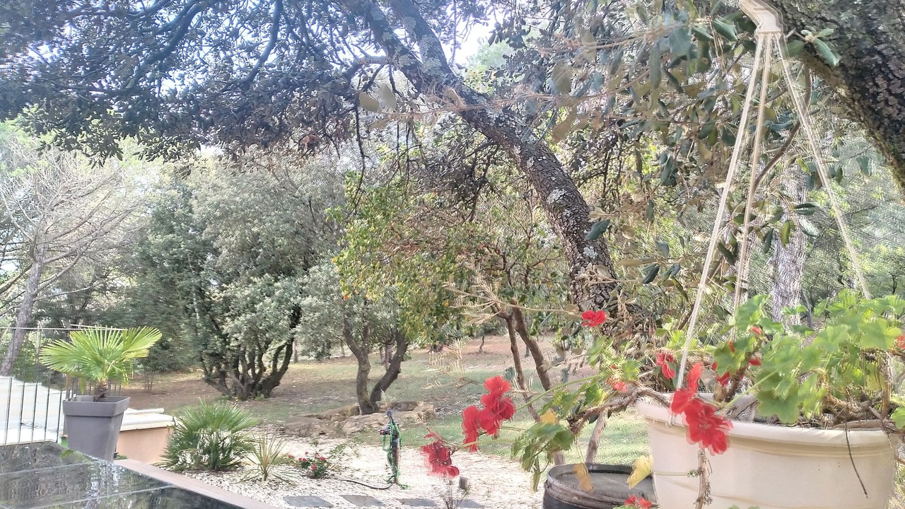 Photo of Outdoor in Rochegude