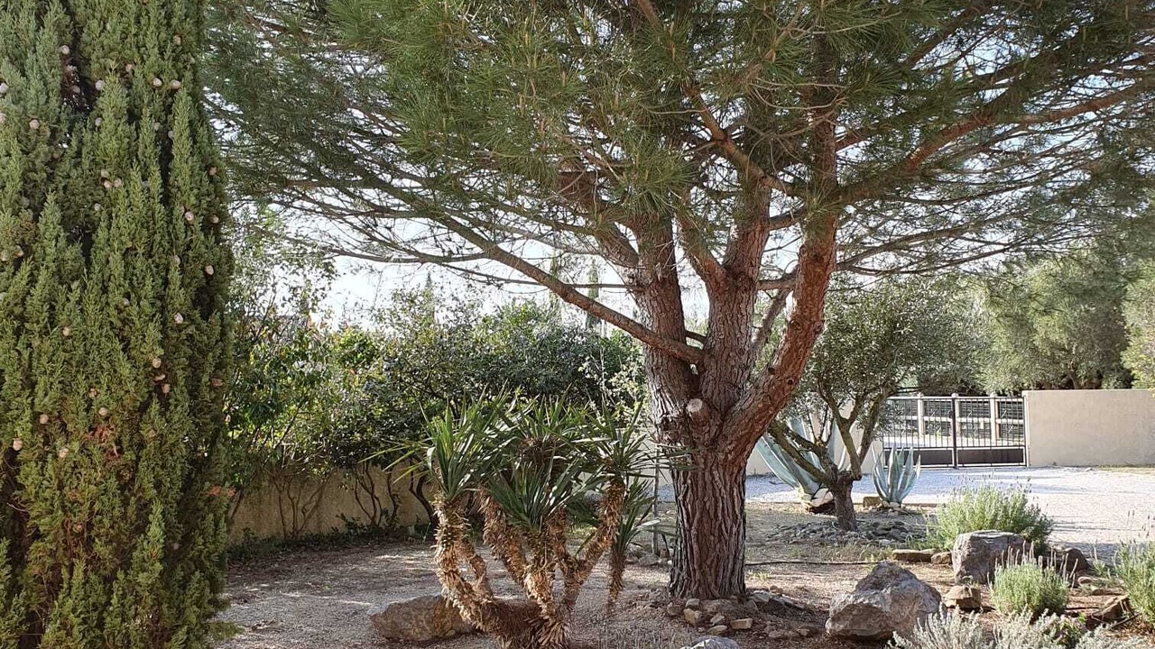 Photo of Outdoor in Mirepeisset