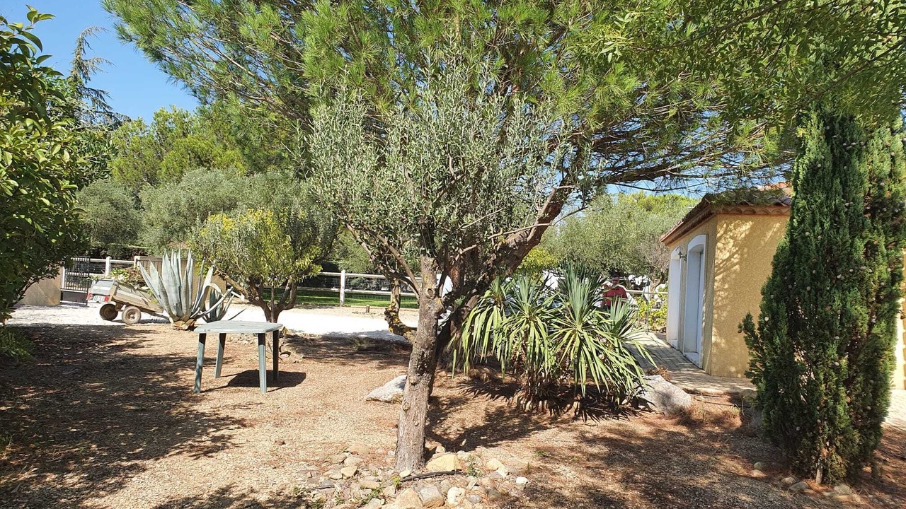 Photo of Outdoor in Mirepeisset