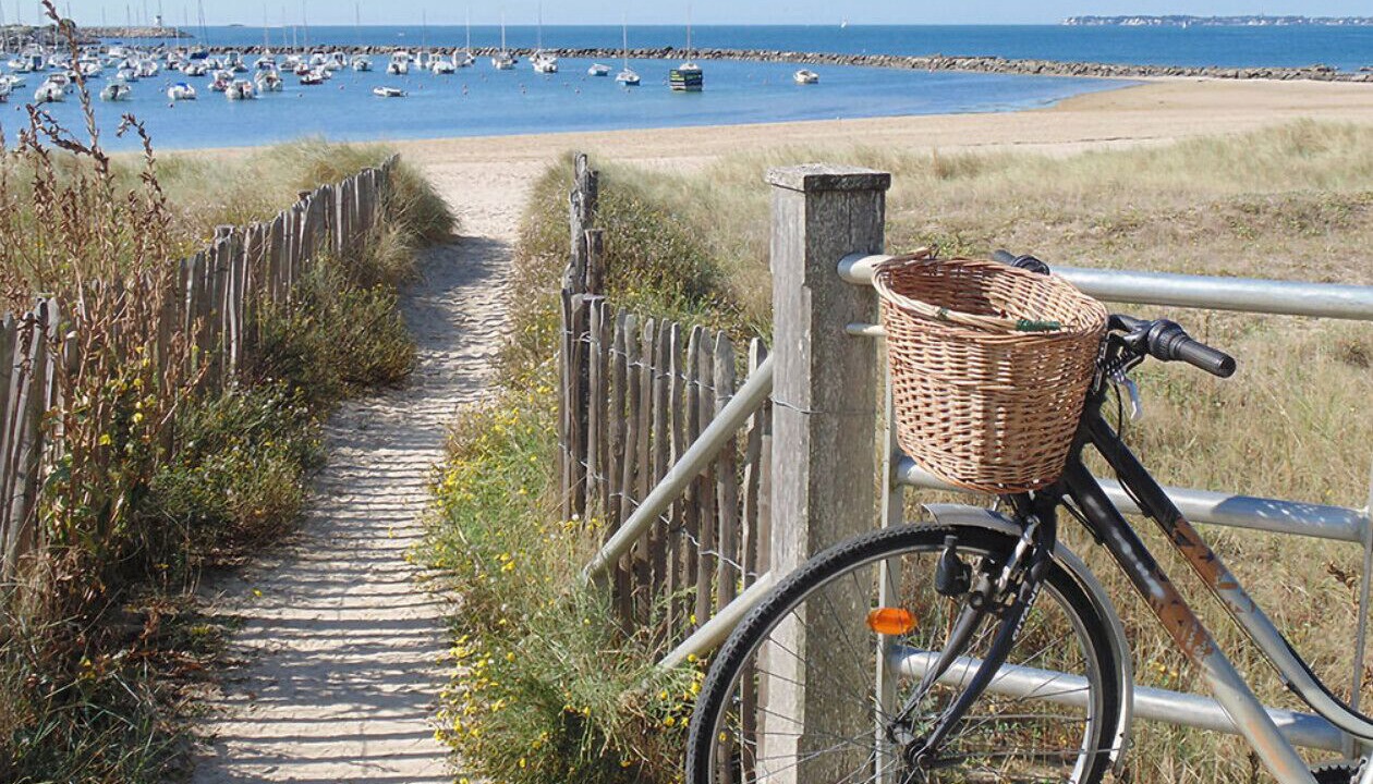 Photo of Others in La Tranche-sur-Mer