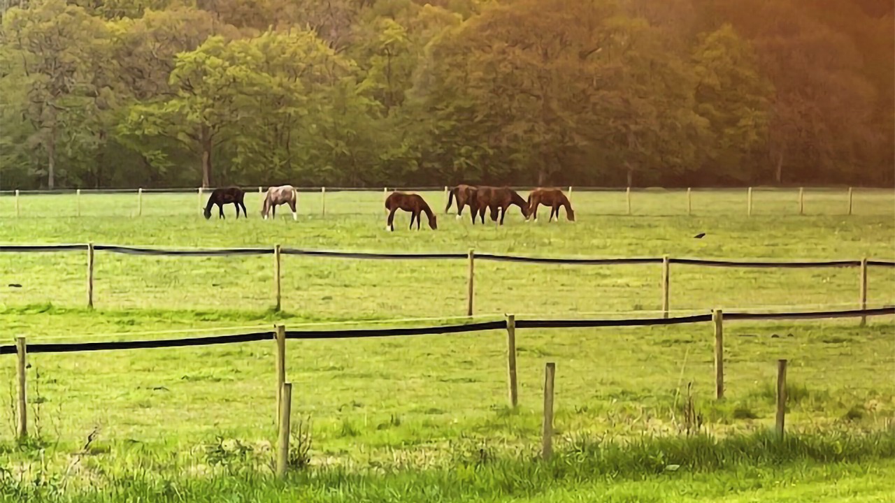 Photo of Others in Horsham