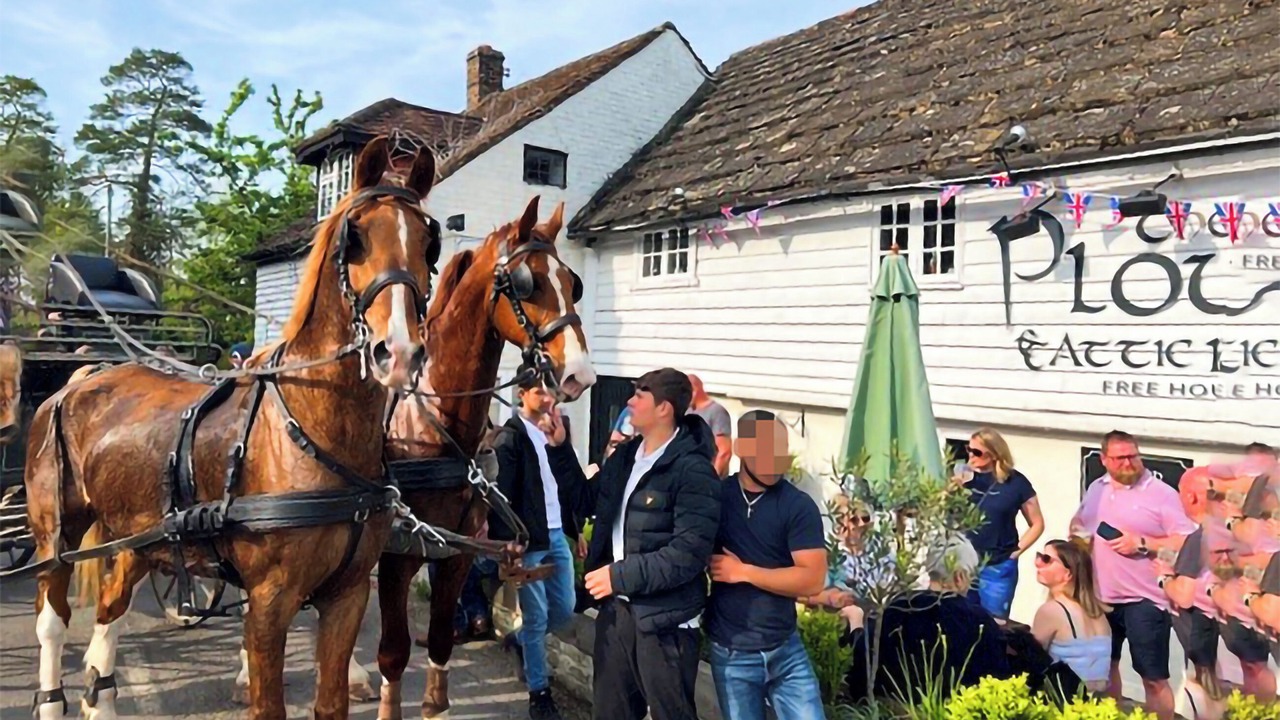 Photo of Others in Horsham