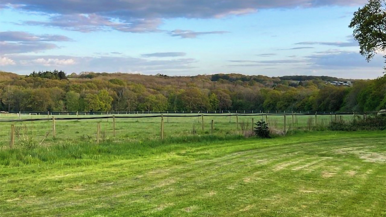 Photo of Others in Horsham