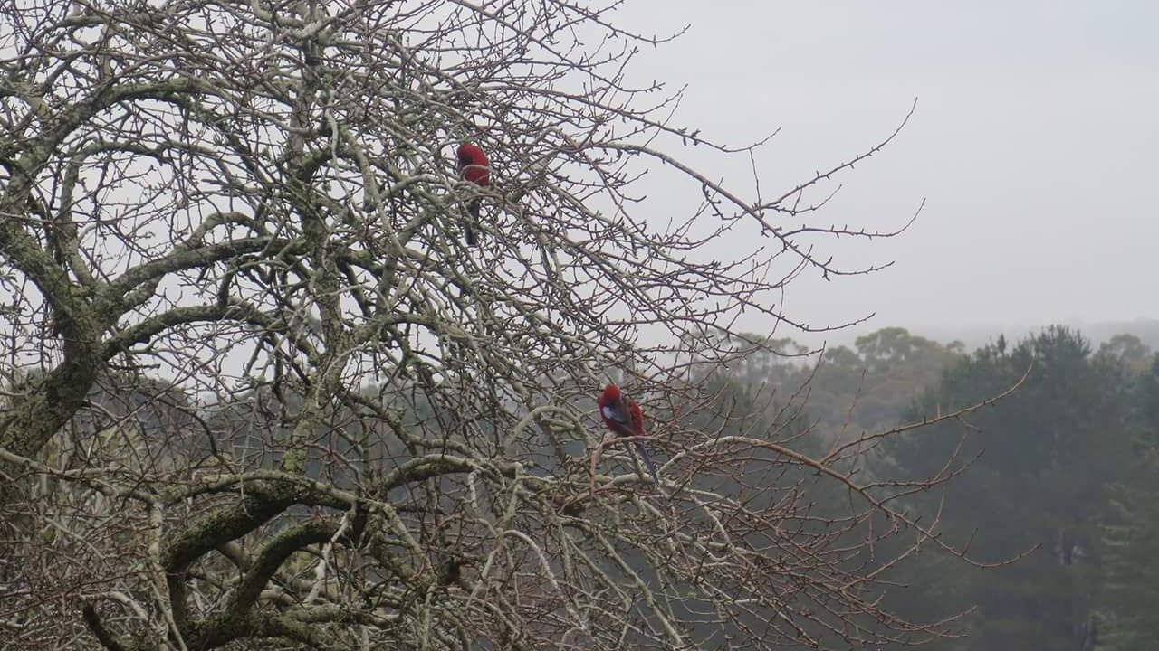 Photo of Others in Daylesford