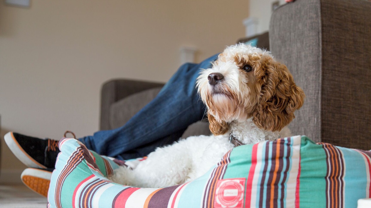 Photo of Others in Winnard's Perch