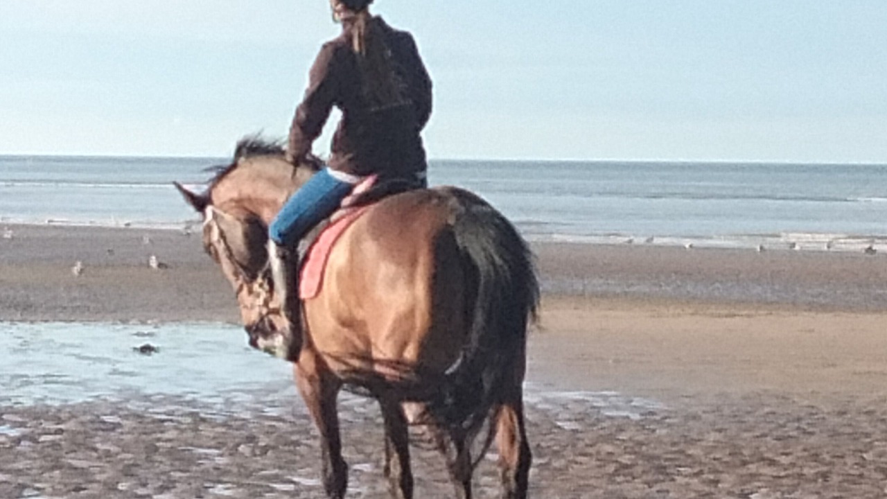 Photo of Others in Houlgate