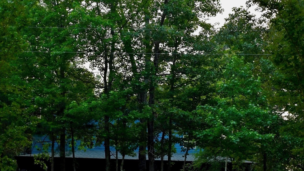 Photo of Outdoor in Hawkins