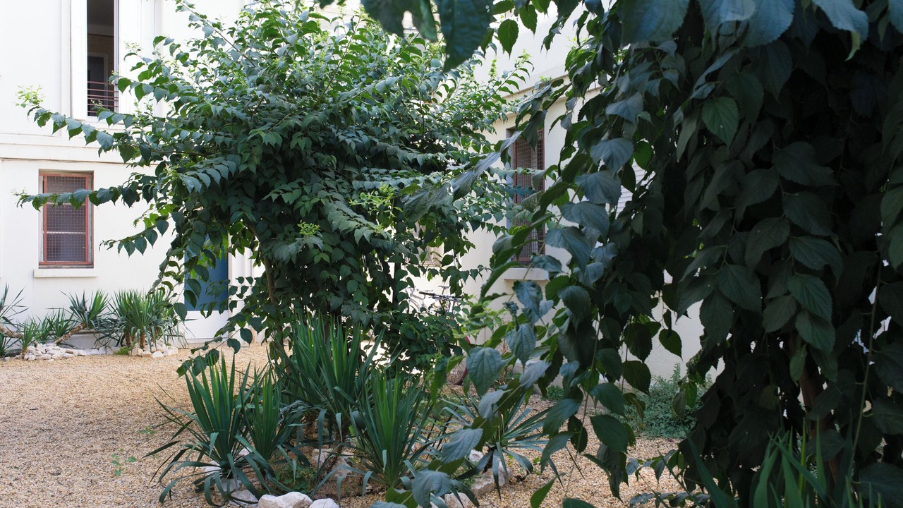 Photo of Outdoor in Gambetta