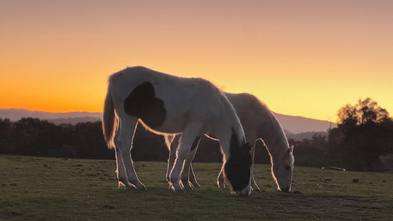 Photo of Others in Bridge Creek