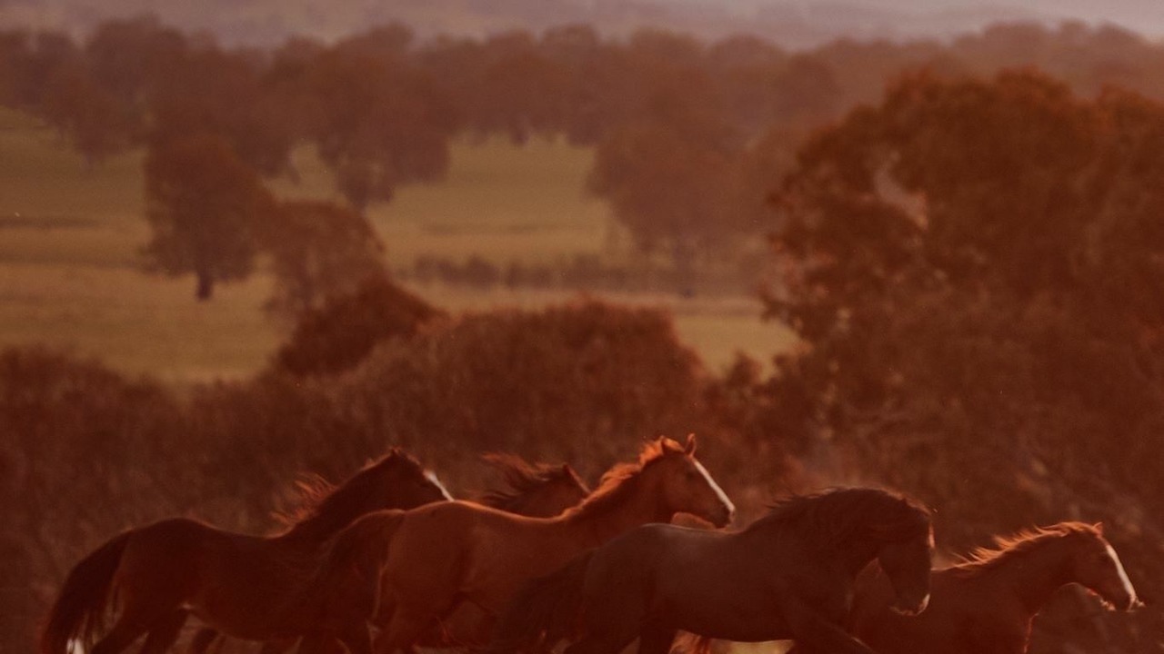 Photo of Others in Bridge Creek