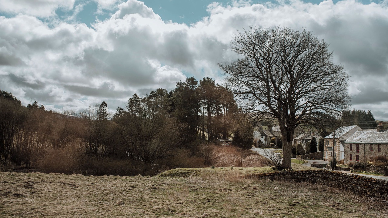 Photo of Others in Garrigill