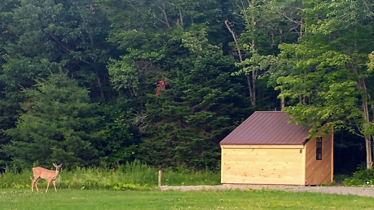 Photo of Outdoor in Lincoln