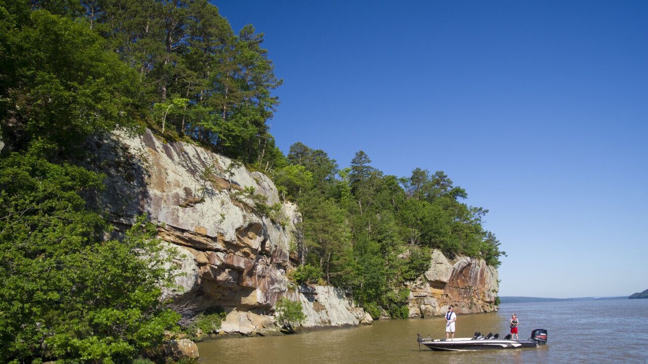 Photo of Others in Russellville