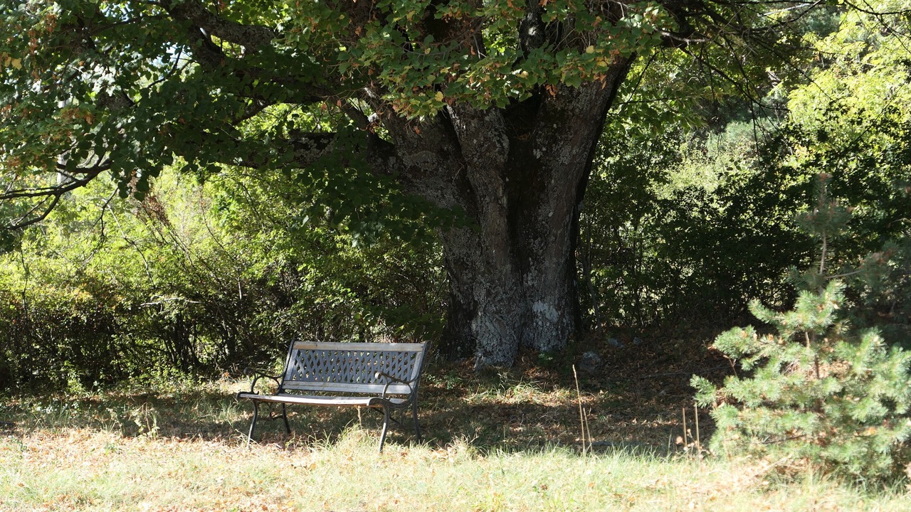 Photo of Outdoor in Revest-du-Bion