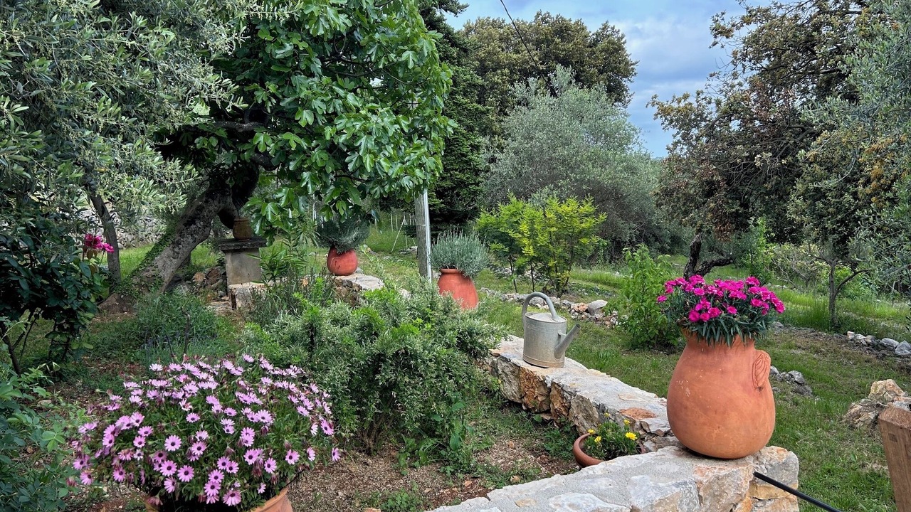 Photo of Outdoor in Mons