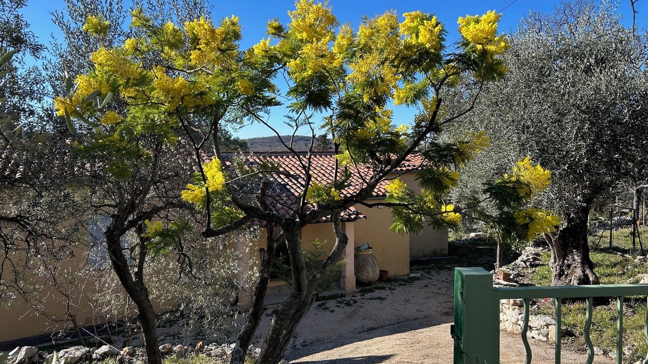 Photo of Outdoor in Mons