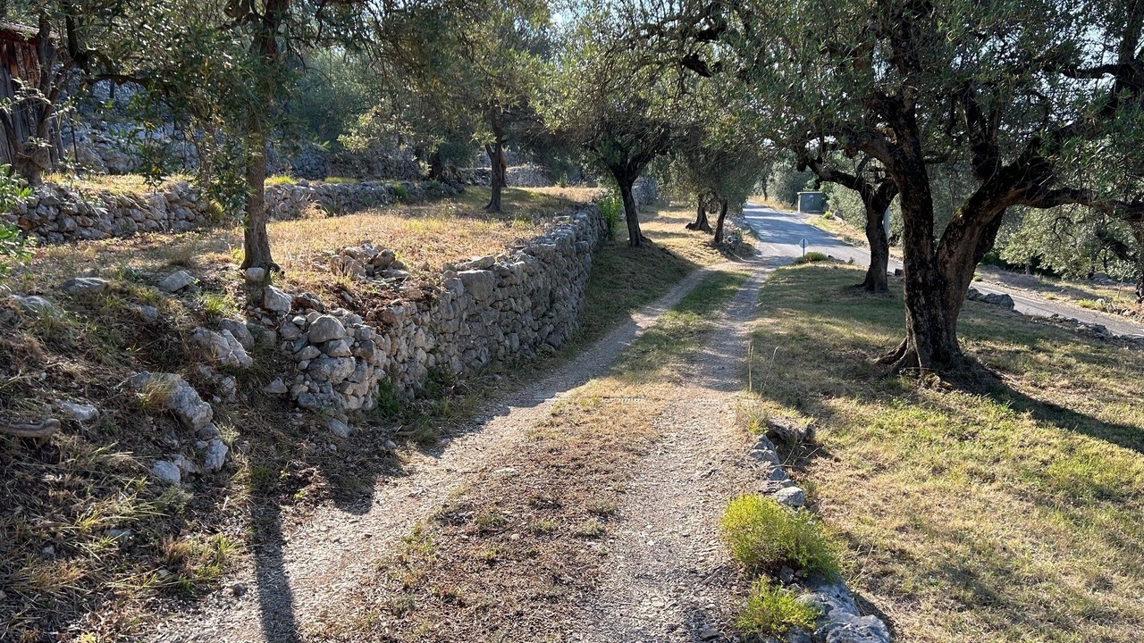 Photo of Others in Mons