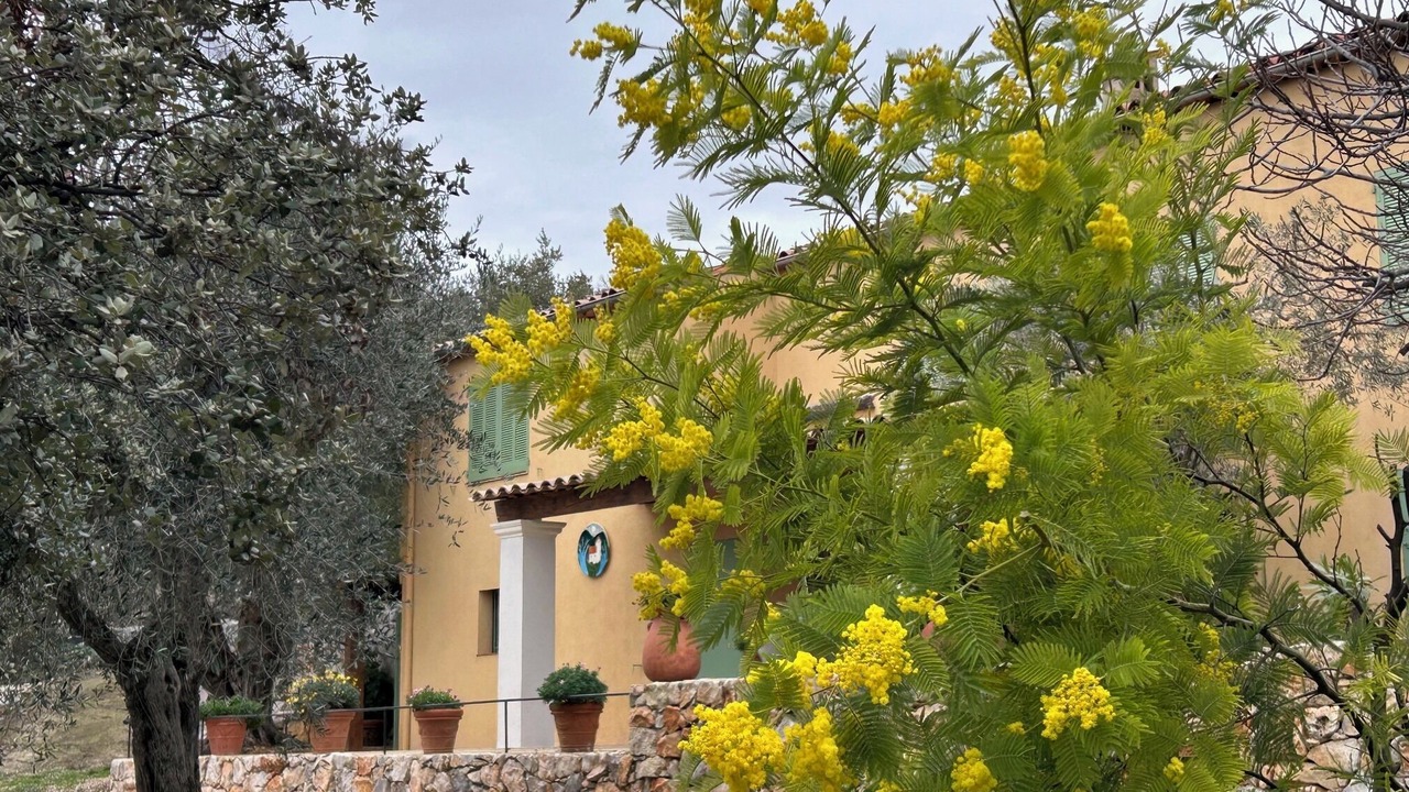 Photo of Outdoor in Mons