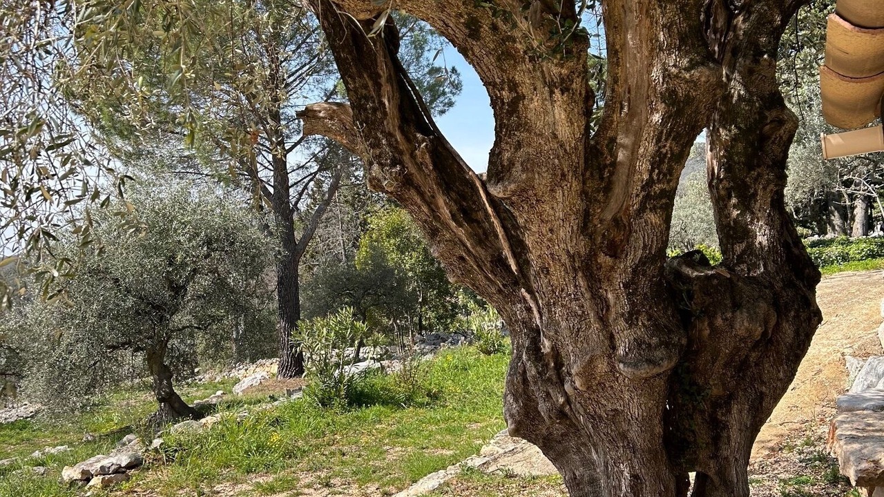 Photo of Outdoor in Mons