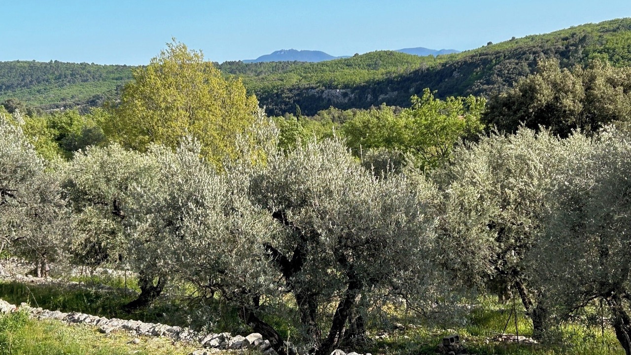 Photo of Outdoor in Mons