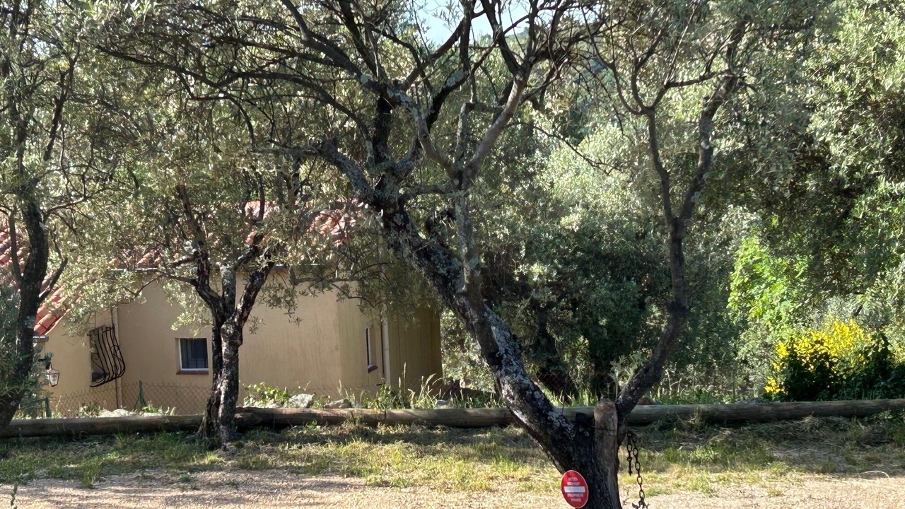 Photo of Outdoor in Mons