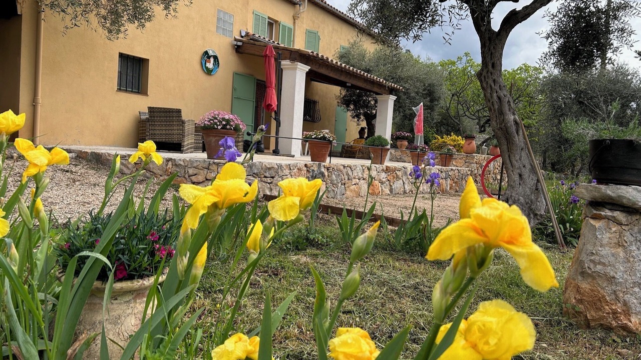 Photo of Outdoor in Mons