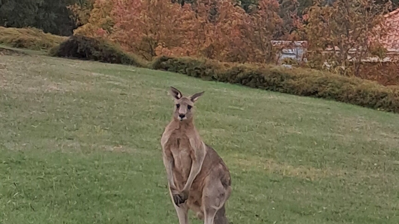 Photo of Others in Wallan
