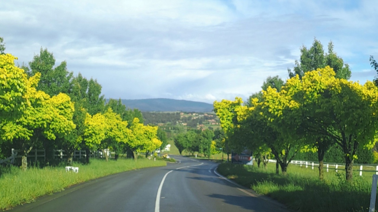 Photo of Others in Wallan