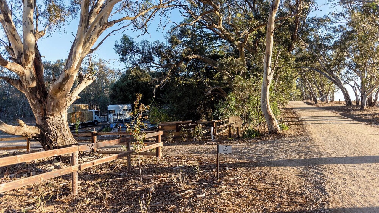 Photo of Outdoor in Talunga