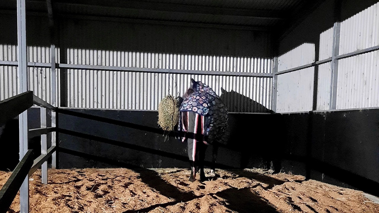 Photo of Others in Talunga